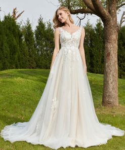 V-neck Applique Chapel Train Wedding Dress Ivory/Champagne